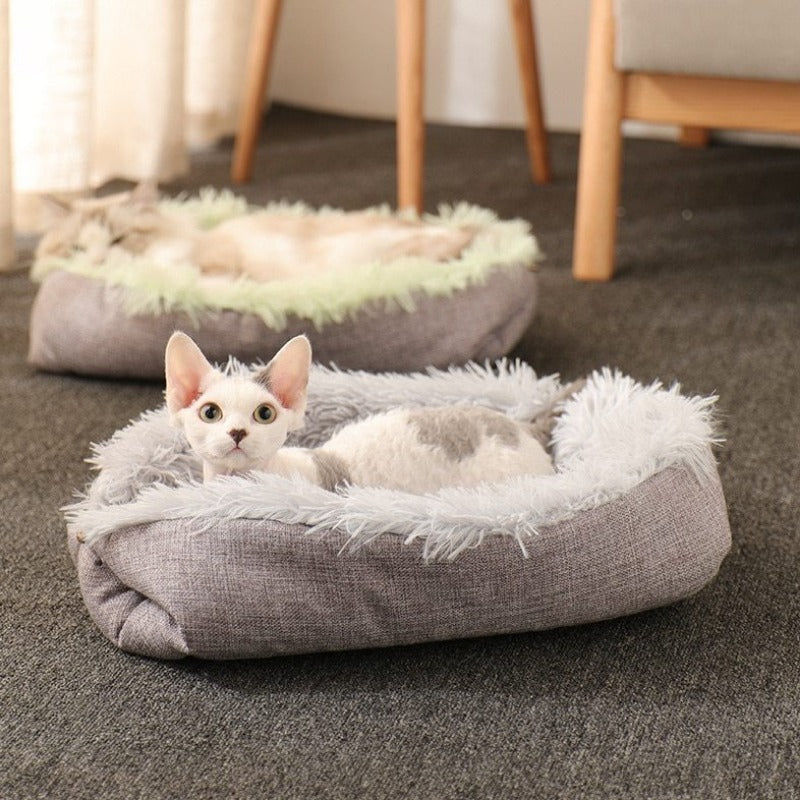 Unique pet accessories outlet