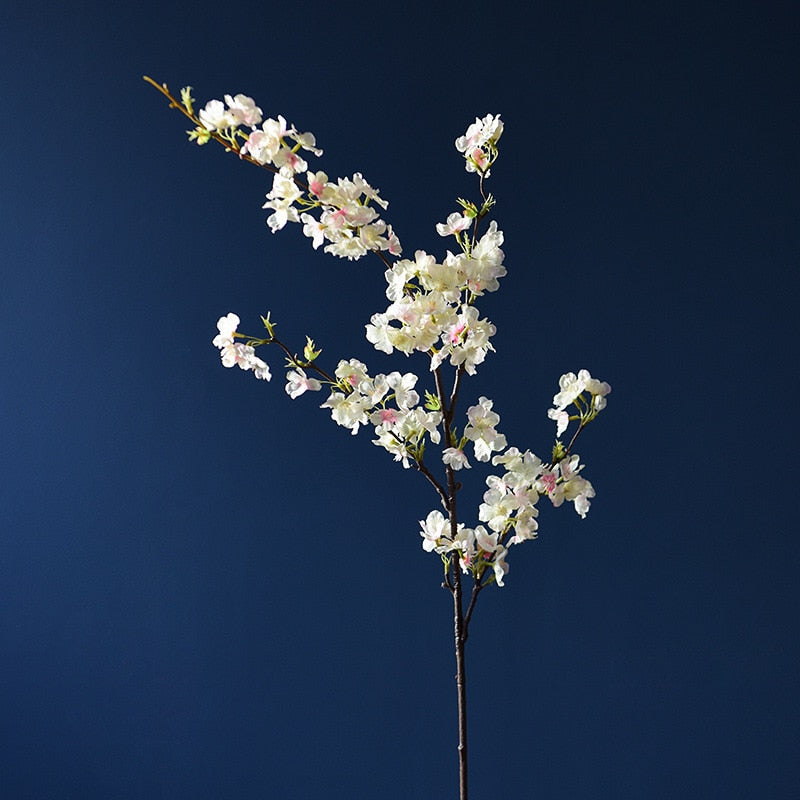 The Essential Cherry Blossom Branch