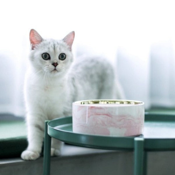 The Midcentury Marble Pet Food Bowl