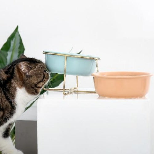 The Colorful Minimalist Pet Food Bowl