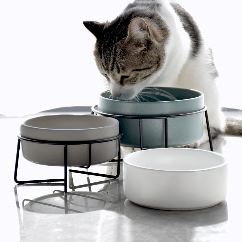 The Essential Elevated Pet Food Bowl