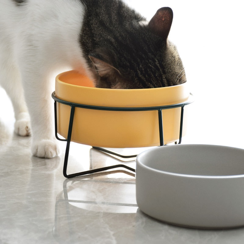 The Essential Elevated Pet Food Bowl
