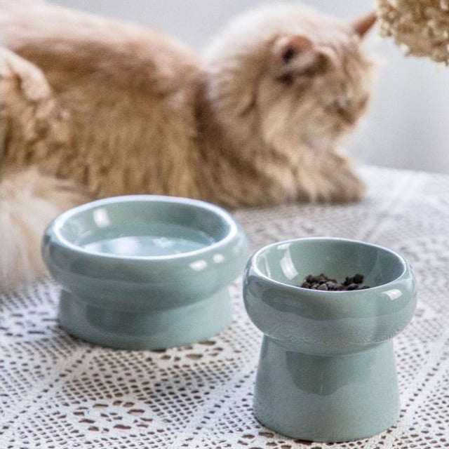 The Modern Sculptural Cat Food Bowl