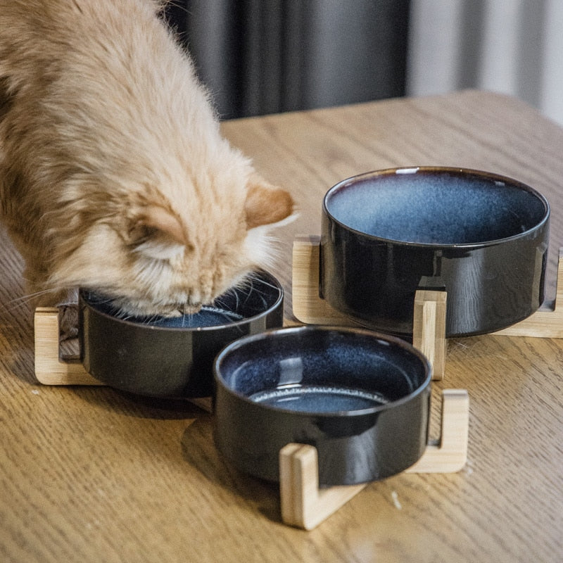 The Mystic Mountain Ceramic Pet Food Bowl with Stand