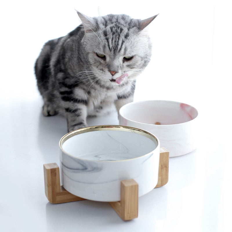 The Midcentury Marble Pet Food Bowl