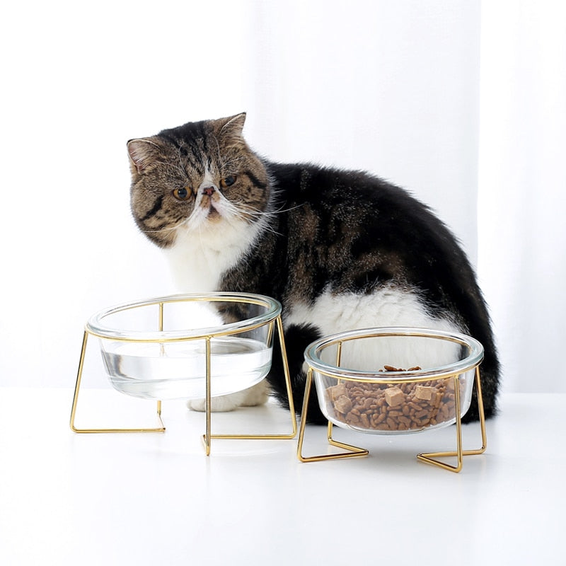 The Minimalist Pet Food Bowl and Stand