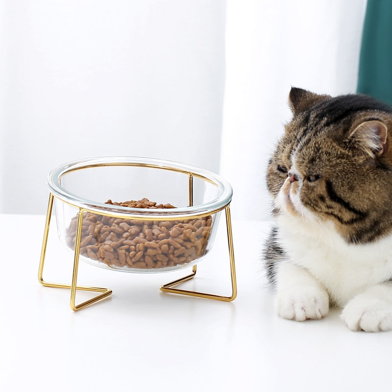 The Minimalist Pet Food Bowl and Stand