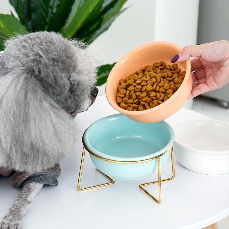 The Colorful Minimalist Pet Food Bowl